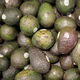 Illustration for article titled Big Avocado Will Pay You to Eat Avocados